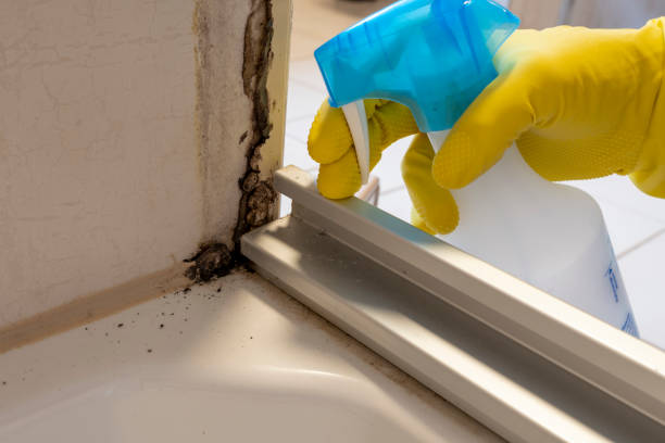 Best Crawl Space Mold Removal  in Lake Barcroft, VA