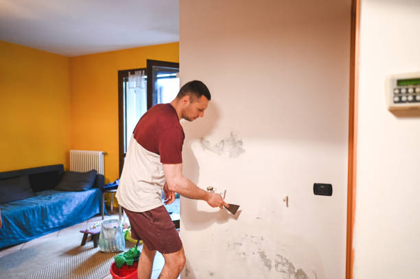 Best Commercial Mold Removal  in Lake Barcroft, VA